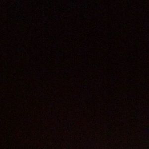 Meet your Posher, Benji❤️💪🏽🐐